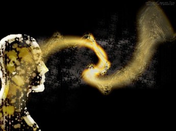 las cinco mentes del ejecutivo